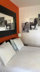 Whtie Horse Motel - Double Bedroom - Zebra Scenery - Elephant Scenery - Mirror on the Wall