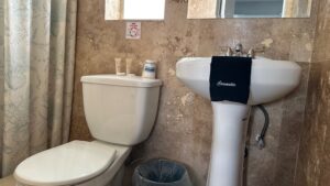 White Horse Motel-bathroom/shower