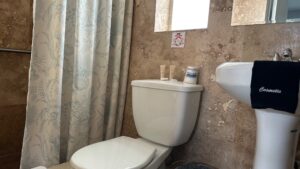 White Horse Motel-bathroom/shower with grab-bar